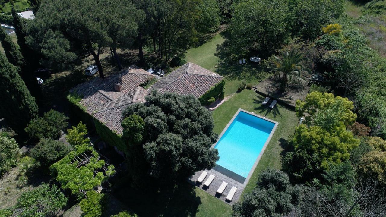 Villa Edera Viagrande Eksteriør billede